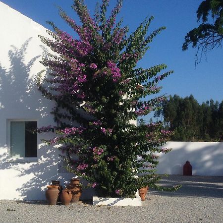 Monte Das Texugueiras - Adults Only エクステリア 写真