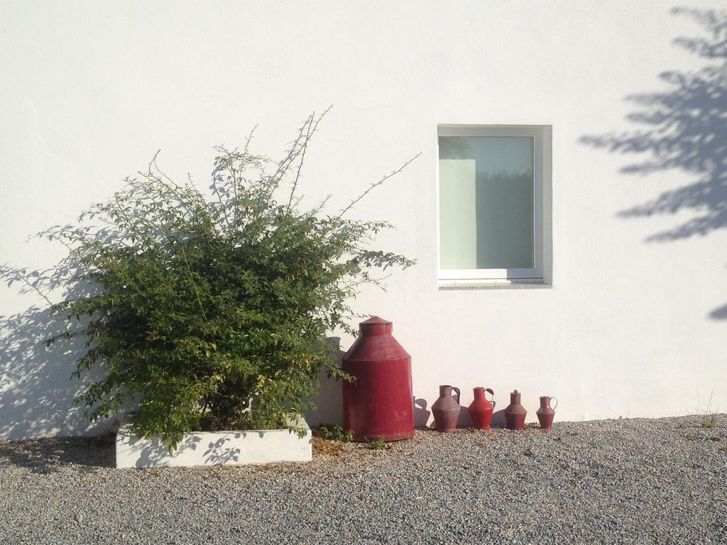 Monte Das Texugueiras - Adults Only エクステリア 写真