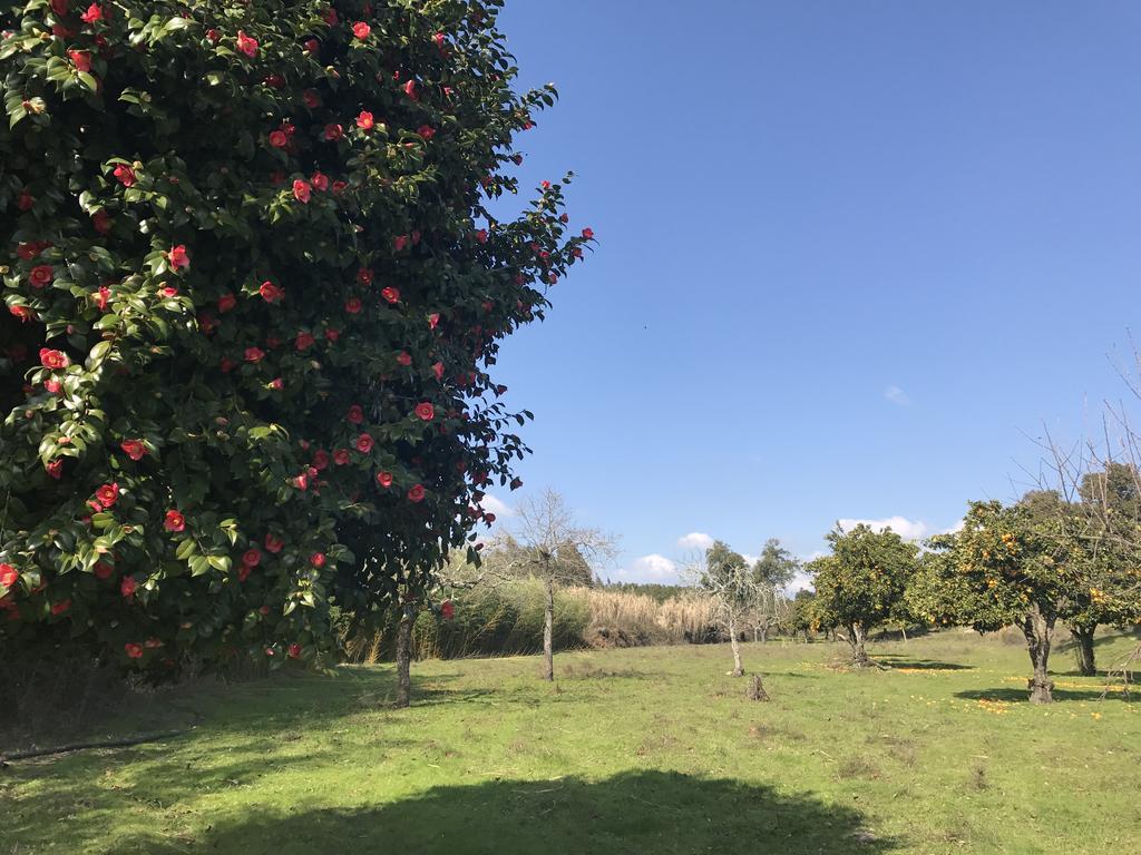 Monte Das Texugueiras - Adults Only エクステリア 写真