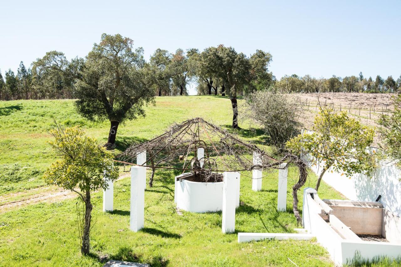 Monte Das Texugueiras - Adults Only エクステリア 写真