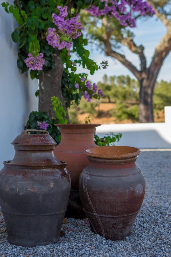 Monte Das Texugueiras - Adults Only エクステリア 写真